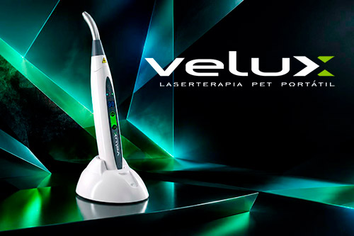 Velux Vet